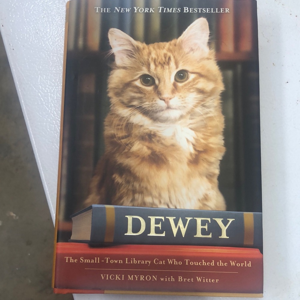 Dewey